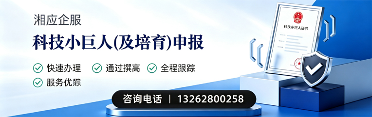 青岛科技小巨人及培育企业申报服务