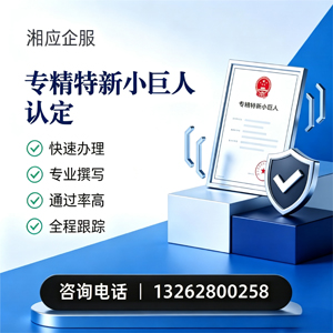 青岛专精特新小巨人申报服务