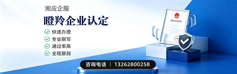 青岛瞪羚企业认定申报服务