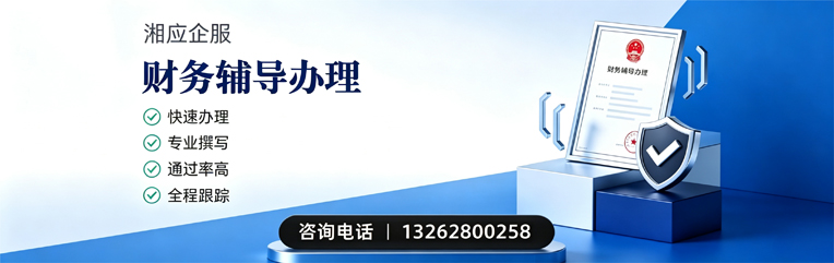 青岛财务辅导申请服务
