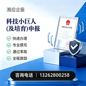 青岛科技小巨人及培育企业申报服务
