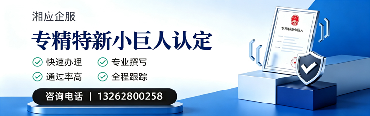 青岛专精特新小巨人申报服务